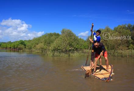 Kegiatan Eduwisata Mangrove Baros Tirtohargo