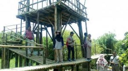 Desa Wisata Mangrove Dusun Baros Lomba Tingkat Kabupaten Bantul 2018