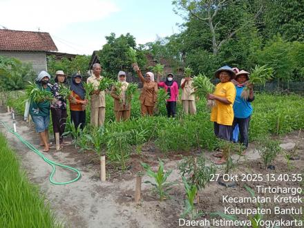 Panen Perdana Kebun Poklahsar Baros: Wujud Kemandirian dan Ketahanan Pangan Lokal